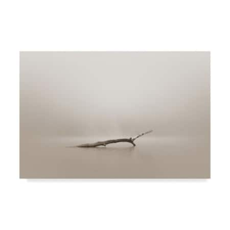 Nicholas Bell Photography 'Still Drift Wood' Canvas Art,22x32